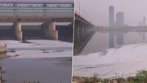 दिल्ली: कालिंदी कुंज में यमुना नदी की सतह पर जहरीला झाग दिखाई दिया, देखें तस्वीरें