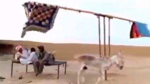 इस शख्स ने गर्मी से बचने के लिए किया देसी जुगाड़, वीडियो देख आप भी कहेंगे वाह गुरु!