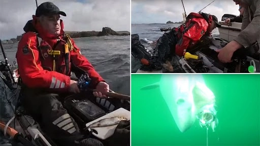 विशाल शार्क ने मछुआरे की नाव को धक्का देकर पलटा, बोट पर किया कब्ज़ा, देखें वीडियो