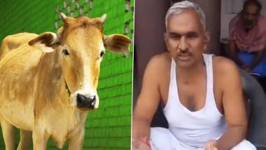 BJP MLA Surendra Singh's amazing recipe, cow's urine and turmeric will not be eaten in Corona, watch video