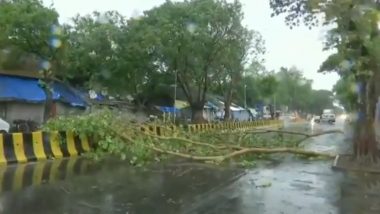 Cyclone Tauktae: मुंबई की ओर बढ़ रहा है तौकते तूफान, तेज हवाएं चलने से कई पेड़ गिरे