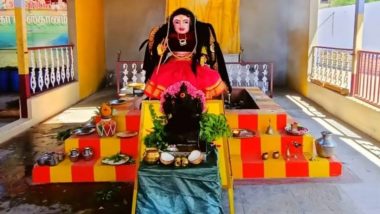 Corona Devi: तमिलनाडु के कोयंबटूर में महामारी से बचने के लिए बनाया गया 'कोरोना देवी' का मंदिर, देखें VIDEO