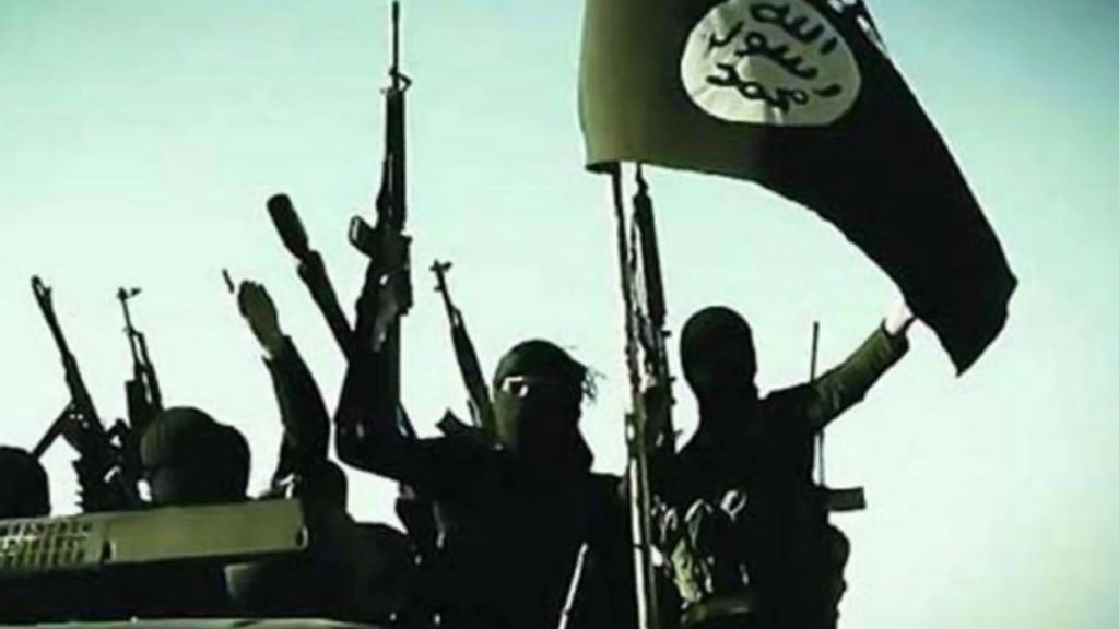 आईएसआईएस केवल एक क्षेत्रीय आतंकवादी संगठन नहीं, बल्कि एक वैश्विक गिरोह है: भारत