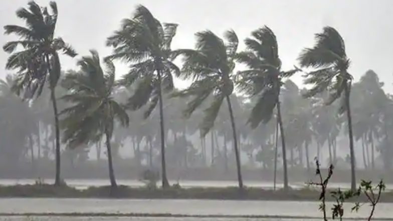Cyclone Tauktae: भारी बारिश और हवाओं के चलते मुंबई में शिवसेना भवन के पास पेड़ और बिजली का पोल उखड़े- देखें तस्वीर