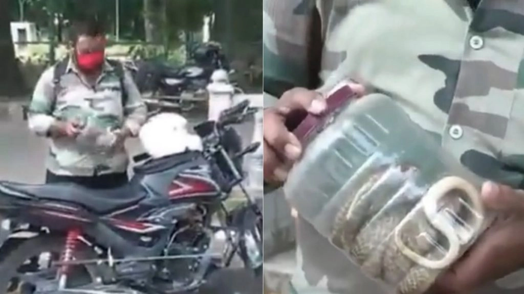 पुलिस द्वारा रोके जाने पर बाइक सवार ने दिया 'आवश्यक सेवा' का हवाला, सबूत मांगने पर दिखाया किंग कोबरा सांप 
