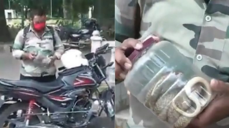 पुलिस द्वारा रोके जाने पर बाइक सवार ने दिया 'आवश्यक सेवा' का हवाला, सबूत मांगने पर दिखाया किंग कोबरा सांप (Watch Viral Video)