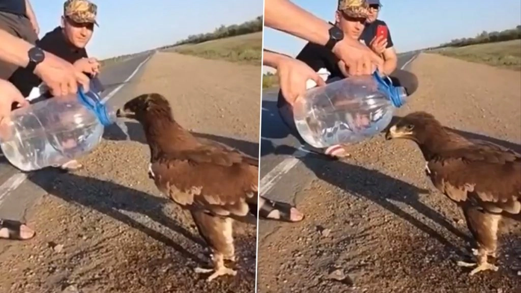 Viral Video: बाज को लगी प्यास तो शख्स ने बोतल से पिलाया पानी, वीडियो हुआ वायरल