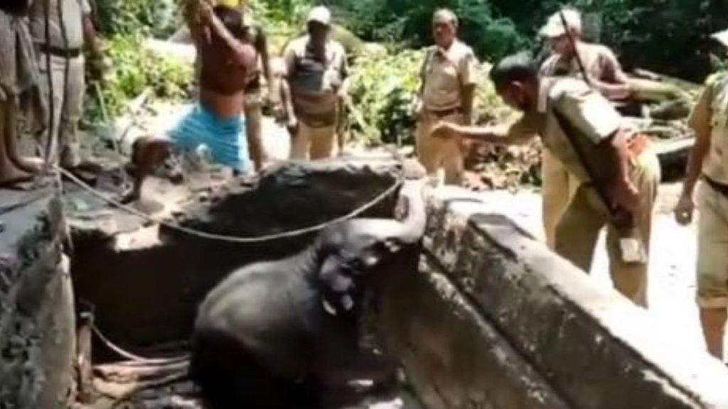 पानी की टंकी में गिरकर फंसा नन्हा हाथी, 4 घंटों की कड़ी मशक्कत के बाद रेस्क्यू टीम ने ऐसे बचाई जान