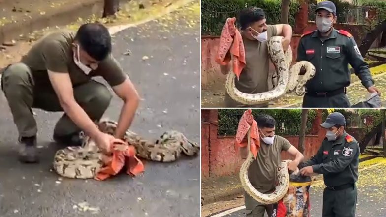 सड़क के किनारे दिखा विशाल अजगर, सेना के ब्रिगेडियर ने उसे हाथों से पकड़ लिया फिर जो हुआ… (Watch Viral Video)
