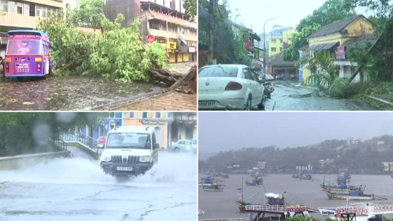 Cyclone Tauktae: गोवा में तेज हवा और बारिश से उखड़े कई पेड़