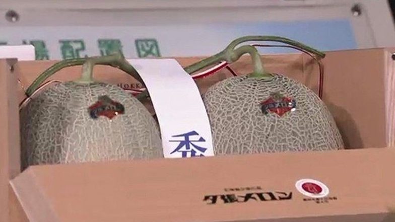 Japan: Hokkaido में लगभग $ 25,000 में नीलाम हुए दो प्रतिष्ठित युबारी खरबूजे