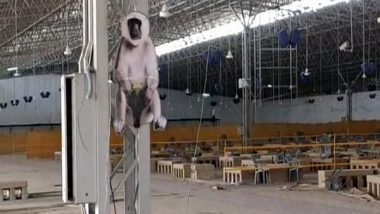 दिल्ली: आईटीबीपी ने बंदरों के खतरे से निपटने के लिए सरदार पटेल कोविड केयर सेंटर में लगाए बबूनों के कटआउट