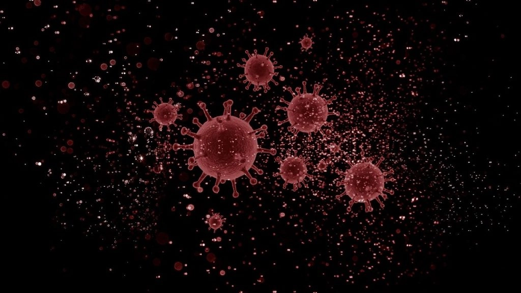 महाराष्ट्र में COVID-19 के 3,783 और तमिलनाडु में 1,658 नए मामले सामने आए 