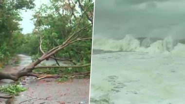 Cyclone Yaas: चक्रवात यास का कहर शुरू, ओडिशा के पारादीप में उखड़े कई पेड़, तेज हवाएं शुरू