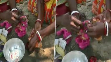 Frog Wedding Video: वर्षा के देवता को खुश करने के लिए त्रिपुरा में पूरे विधि विधान से करावाया गया मेढ़कों का विवाह, देखें वीडियो