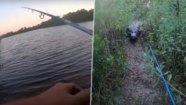 Viral Video: मछली पकड़ने गया था शख्स, पीछे पड़ गया विशाल एलीगेटर, उसके बाद जो हुआ...देखें वीडियो