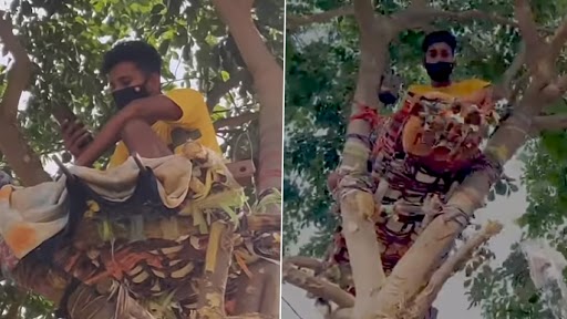 आइसोलेशन के लिए जगह न होने के कारण कोविड पॉजिटिव छात्र ने पेड़ पर बिताए 11 दिन
