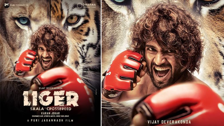 Liger Teaser Release Postponed: Vijay Deverkonda के फैंस के लिए बुरी खबर, कोविड-19 के चलते रद्द हुआ 'लाइगर' का टीजर रिलीज