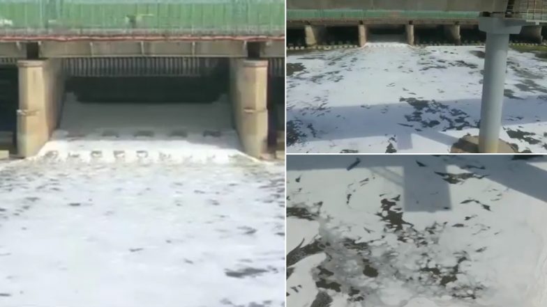 Delhi: का​लिंदी कुंज में यमुना नदी में दिखा जहरीला झाग