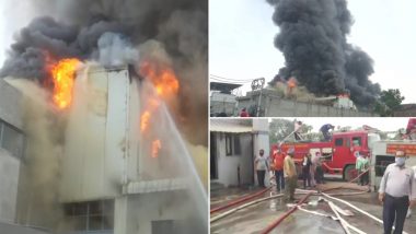 Punjab Fire: अमृतसर में ड्राई फ्रूट की फैक्ट्री में लगी भीषण आग, मौके पर दमकल की कई गाड़ियां मौजूद