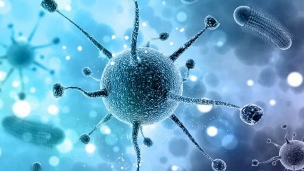 केरल: निपाह वायरस से जान गंवाने वाले लड़के के घर के तीन किमी के दायरे में सर्वेक्षण