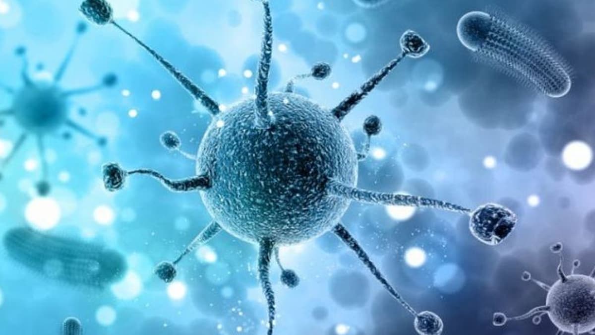 Nipah Virus: निपाह का संदिग्ध मामला,मरीज की जांच रिपोर्ट नेगेटिव