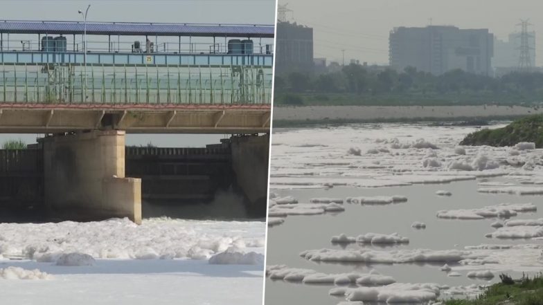 Delhi: का​लिंदी कुंज में यमुना नदी में दिखा जहरीला झाग