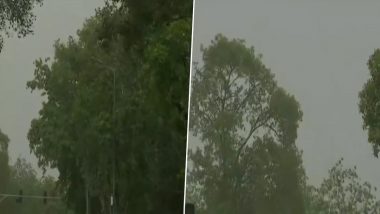 Delhi: मौसम में हुआ बदलाव, दिनभर गर्मी के बाद शाम को चल रही हैं तेज हवाएं, देखें वीडियो