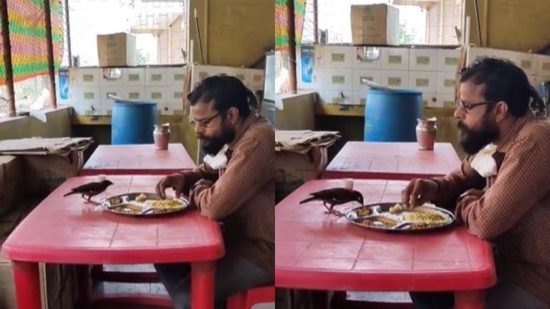 Viral Video: नन्हे से पक्षी के साथ शख्स ने एक ही थाली में खाया खाना, बार-बार देखा जा रहा है दिल को छू लेने वाला यह वीडियो