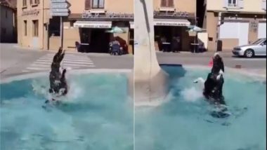 चिलचिलाती गर्मी से बचने के लिए कुत्ते ने पानी में लगाई छलांग, कुछ इस तरह से नहाने का लुत्फ उठाया  (Watch Viral Video)