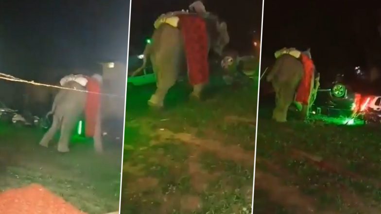 Uttar Pradesh: प्रयागराज में शादी समारोह में हाथी ने मचाया उत्पात, जान बचाने के लिए वहां से भागे दूल्हा और बाराती (Watch Video)