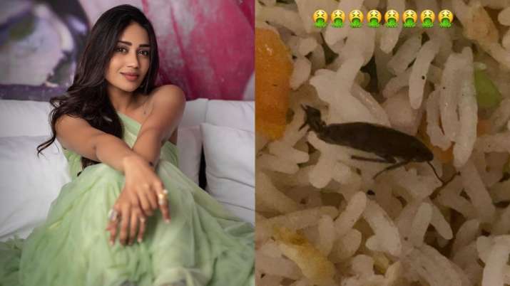 तमिल एक्ट्रेस Nivetha Pethuraj के Swiggy से मंगाए खाने में निकला कॉकरोच, शिकायत के बाद उठाया गया कदम