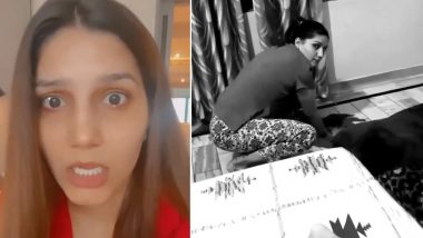 Sapna Choudhary: अधुरा इश्क होता है सही! सपना चौधरी ने मजेदार Video पोस्ट करके बताई वजह