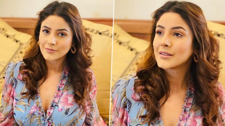 Shehnaaz Gill की खूबसूरती पर फिदा हुए फैंस, इंटरनेट पर हंगामा मचा रही हैं ये Glamorous Photos