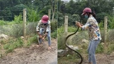 Snake Viral Video: जहरीले बेकाबू सांप को काबू करना कोई इस महिला से सीखे, देखें कैसे नंगे हाथों ने उसने नागराज को पकड़ा
