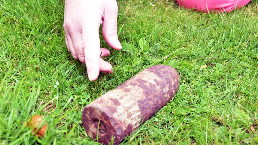 बम बनाने के बाद युवक डर गया था. उसे डर था कि इससे किसी को कुछ नुकसान न पहुंचें.