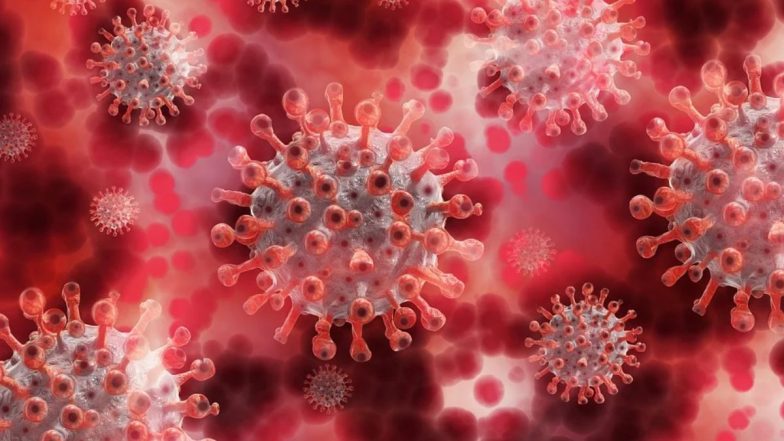 Omicron Variant: सरकार ने बताया- 11 अंतरराष्ट्रीय उड़ानों से आए 3 हजार से ज्यादा यात्रियों की जांच के बाद 6 यात्रियों में कोविड-19 संक्रमण की पुष्टि हुई