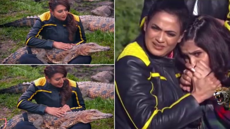 Khatron Ke Khiladi 11: Divyanka Tripathi ने मगरमच्छ के लिए गाई लोरी, Shweta Tiwari भी हुईं हैरान (Watch Video)