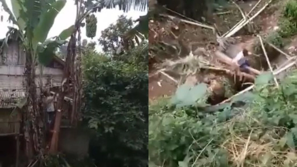 जिस पेड़ पर चढ़ा था शख्स उसी को लगा काटने, अपने इस कारनामे से सीधे जा गिरा नाले में… (Watch Viral Video)