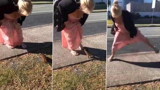 जंगली चूहे के साथ खेल रही थी महिला, उसके बाद जानवर ने किया कुछ ऐसा...देखें वीडियो