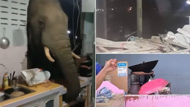 Hungry Elephant Video: भूख मिटाने के लिए हाथी ने तोड़ी घर की दीवार, किचन में घुसकर किया कुछ ऐसा, देखें वीडिओ