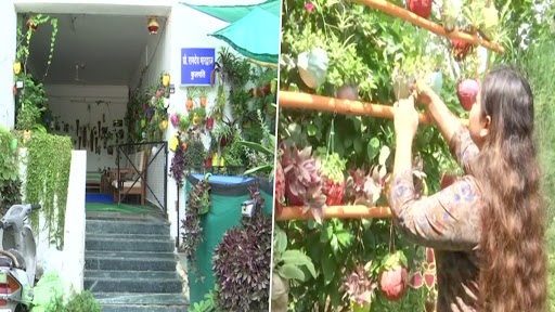 मध्य प्रदेश: महिला ने अपने घर के बहार बनाया मिनी फ़ॉरेस्ट, लगाए 4000 पौधे