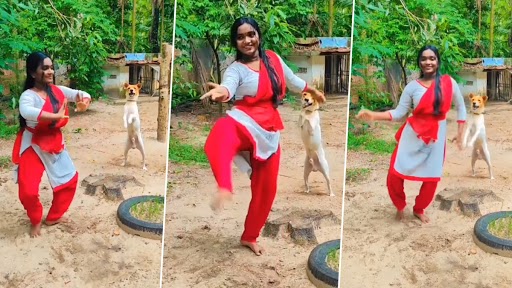 Viral Video: क्लासिकल डांस के दौरान ताली बजाकर लड़की को चीयर अप करता दिखा पेट डॉग, देखें क्यूट वीडियो