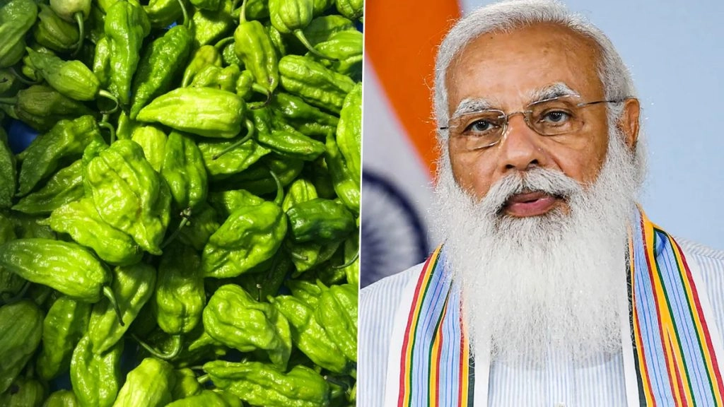 नागालैंड के किंग चिली 'राजा मिर्च' को पहली बार लंदन निर्यात किया गया