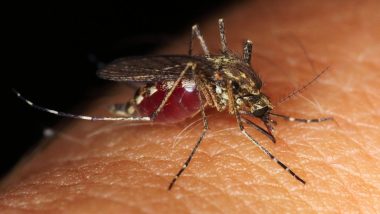 मिजोरम में मलेरिया से 2021 में 10 लोगों की मौत: अधिकारी