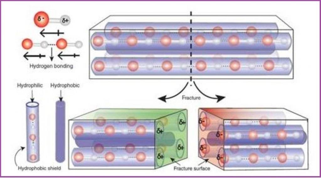 भारतीय वैज्ञानिकों ने ऐसे पदार्थों की खोज की जो यांत्रिक क्षति को खुद ठीक करने में सक्षम