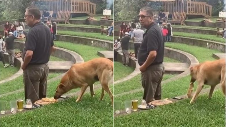 कुत्ते ने बहुत सफाई से पिज्जा पर किया हाथ साफ, किसी को नहीं लगी इसकी भनक (Watch Viral Video)