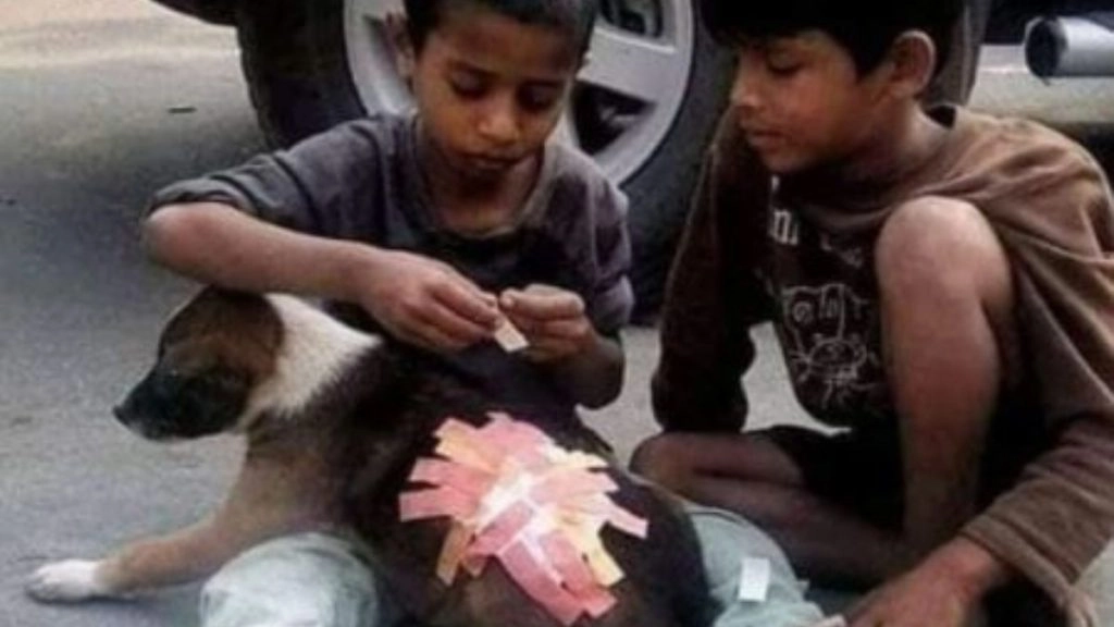 मानवता की मिसाल! कुत्ते को लगी चोट तो सड़क पर खेल रहे बच्चों ने ऐसे की उसकी मदद, Viral Pic जीत लेगा आपका दिल