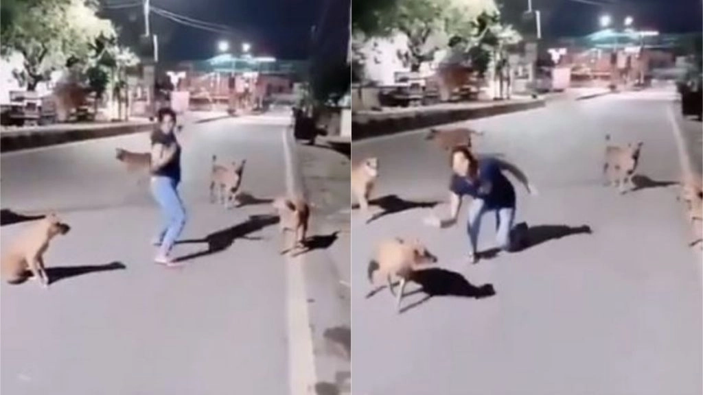Viral Video: सड़क पर कुत्तों के साथ जब डांस करने लगी लड़की, बार-बार देखा जा रहा है यह मजेदार वायरल वीडियो