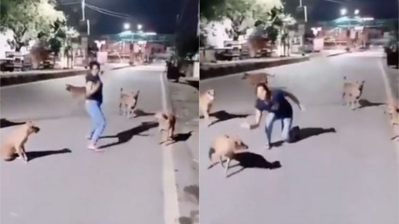 Viral Video: सड़क पर कुत्तों के साथ जब डांस करने लगी लड़की, बार-बार देखा जा रहा है यह मजेदार वायरल वीडियो